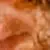 Profile picture of Jeff