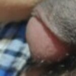Profile picture of Xerxes