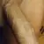 Profile picture of tanner