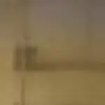 Profile picture of Nicola