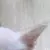 Profile picture of yedd