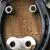 Profile picture of Rossco